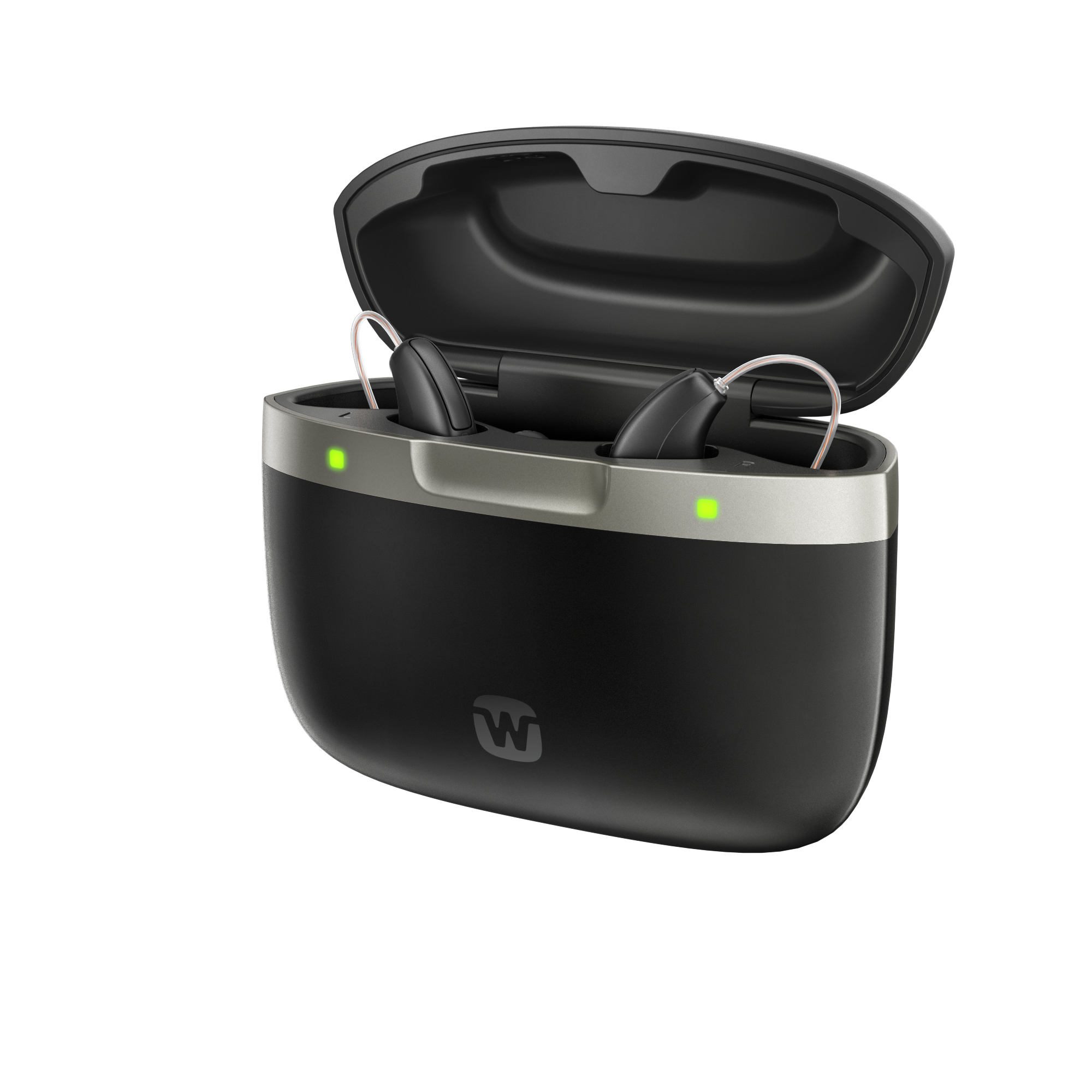 Portabel charger - Allure RIC R D